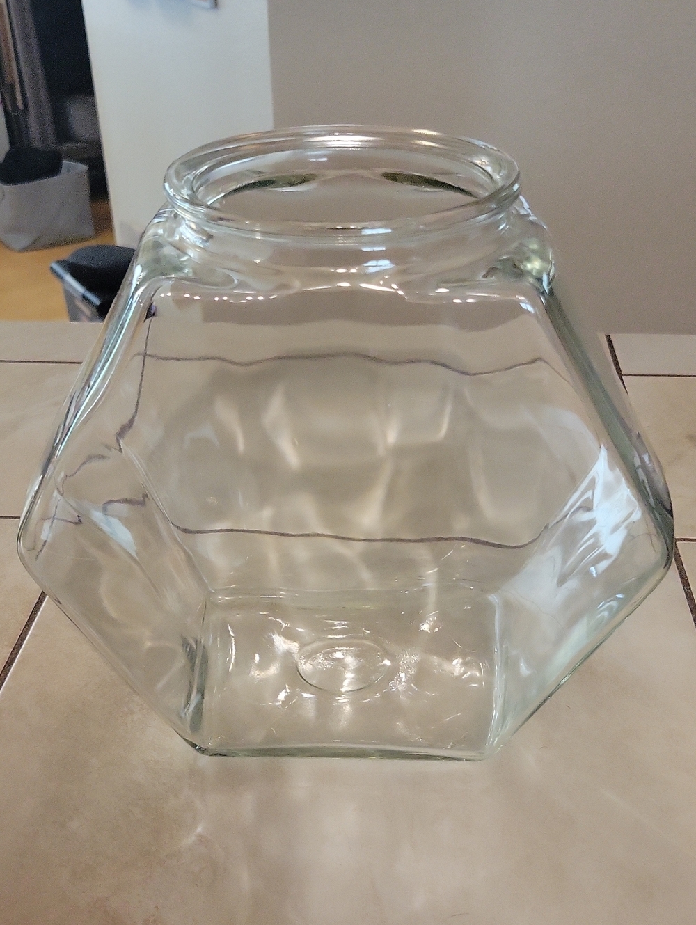 Large Hexagon Glass Fish Tank Cookie Jar Terrarium Container